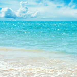 Meet your Posher, Christy